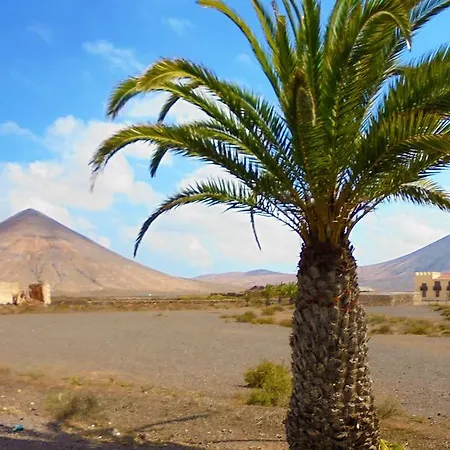 Solo Adultos, Tuneras * La Oliva