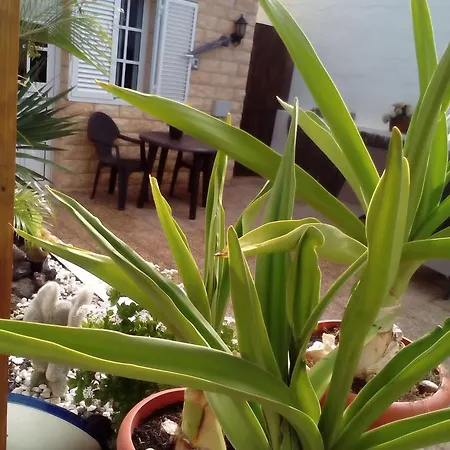 Casa Tuneras *