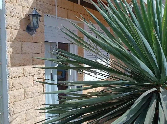 منزل ريفي Solo Adultos, Tuneras لا أوليفا