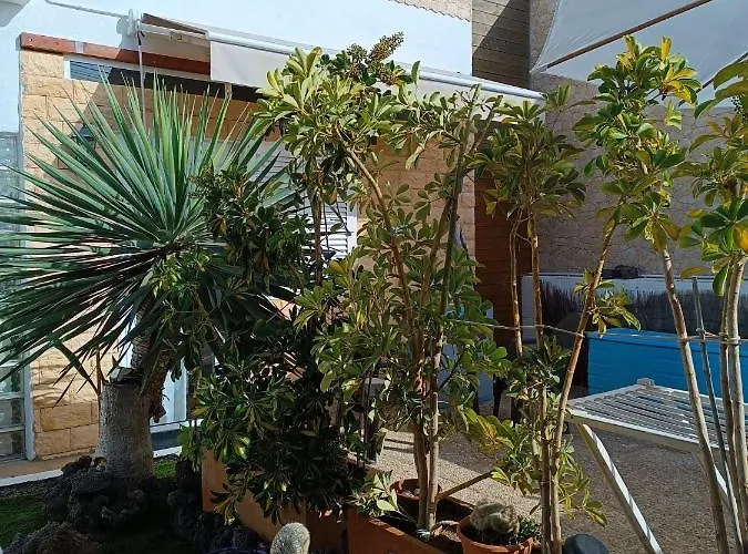 منزل ريفي Solo Adultos, Tuneras