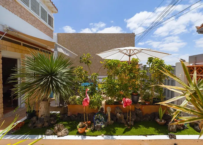 Solo Adultos, Tuneras * لا أوليفا