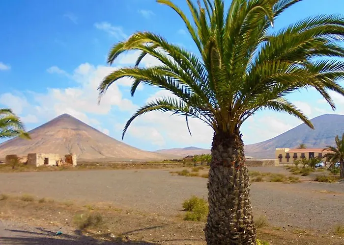 Solo Adultos, Tuneras * لا أوليفا