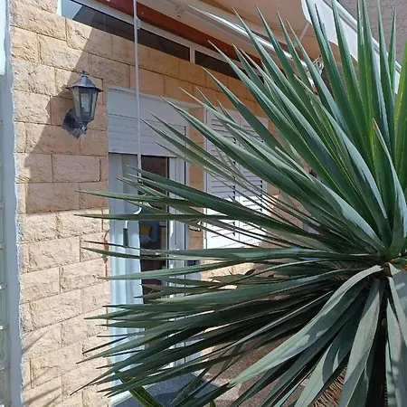 Landhaus Solo Adultos, Tuneras La Oliva